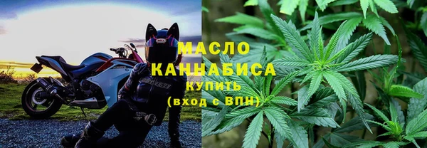 индика Абдулино