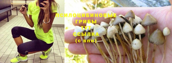 прущие крисы Алзамай