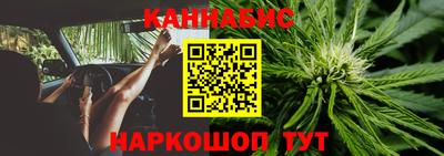 ПСИЛОЦИБИНОВЫЕ ГРИБЫ Ачхой-Мартан