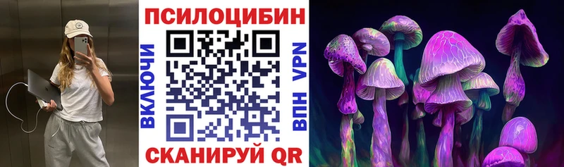 Псилоцибиновые грибы мицелий  Благодарный 