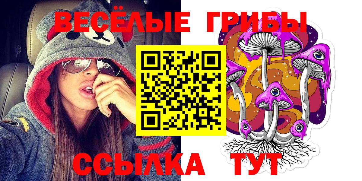 наркотики  Псилоцибиновые грибы GOLDEN TEACHER  Вход с VPN  Благодарный 